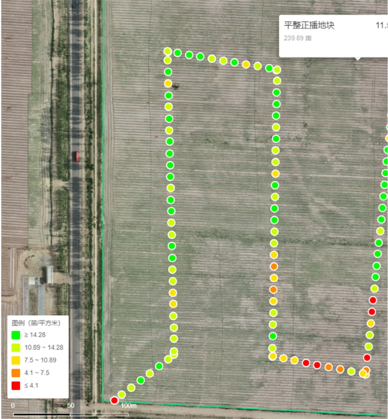Measuring Crop Emergence with AI-Based Analysis