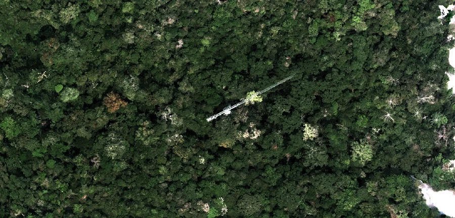 Forest ecological observatory data monitoring
