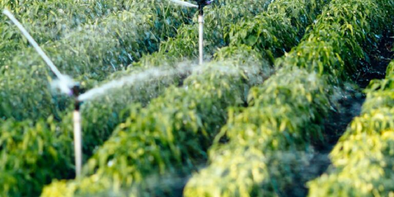 Irrigation patterns