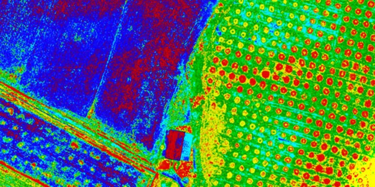 Phenotyping